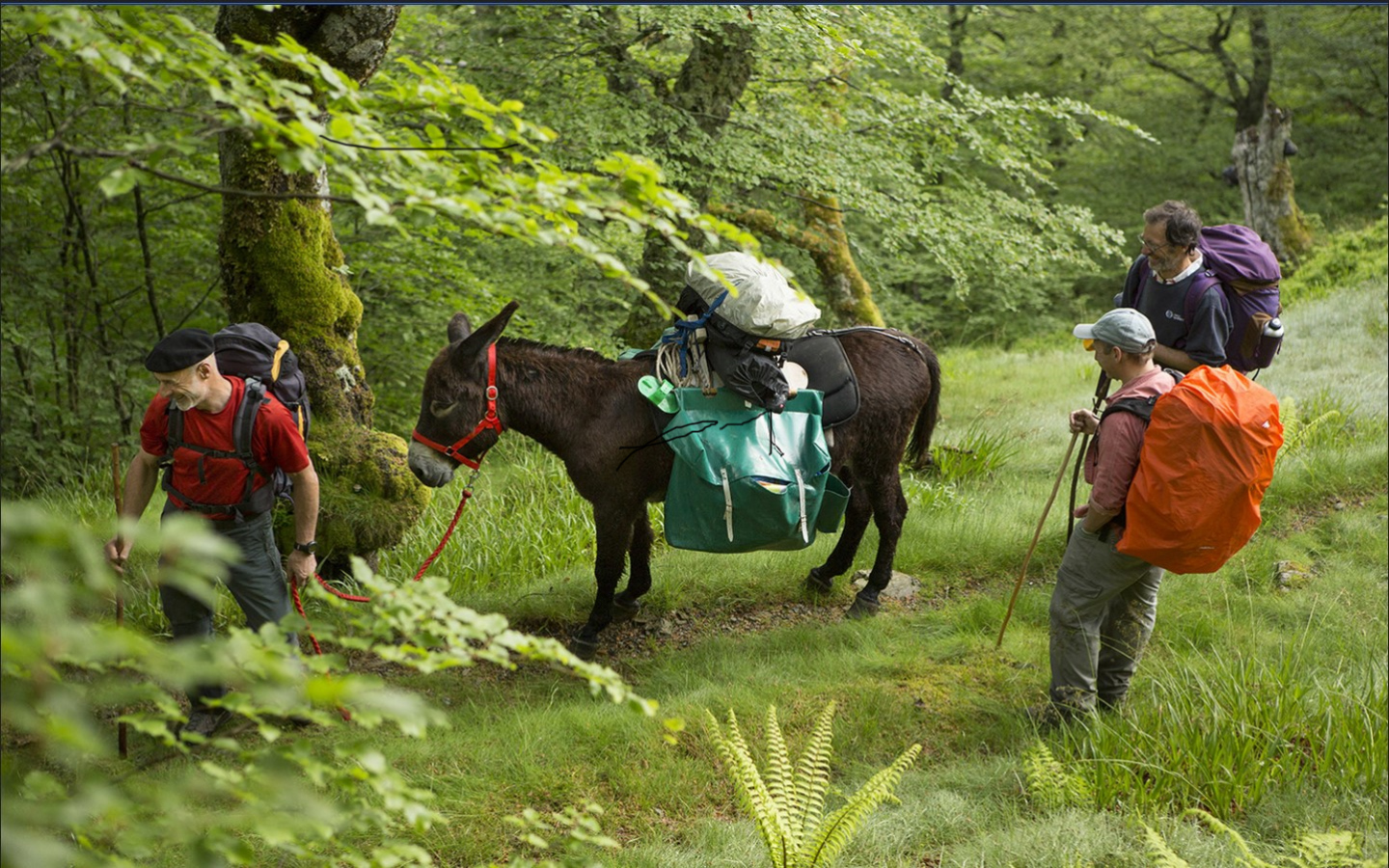 Txomin Etchemendy - Accompagnateur montagne