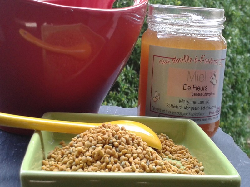 Une abeille à l’orée du bois - photo 3