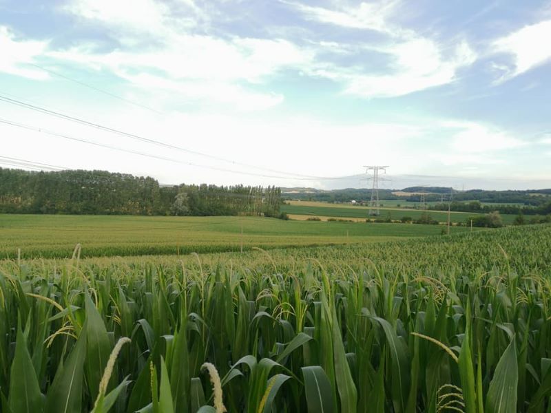Le Rendez-vous des Fins Gourmets - photo 3