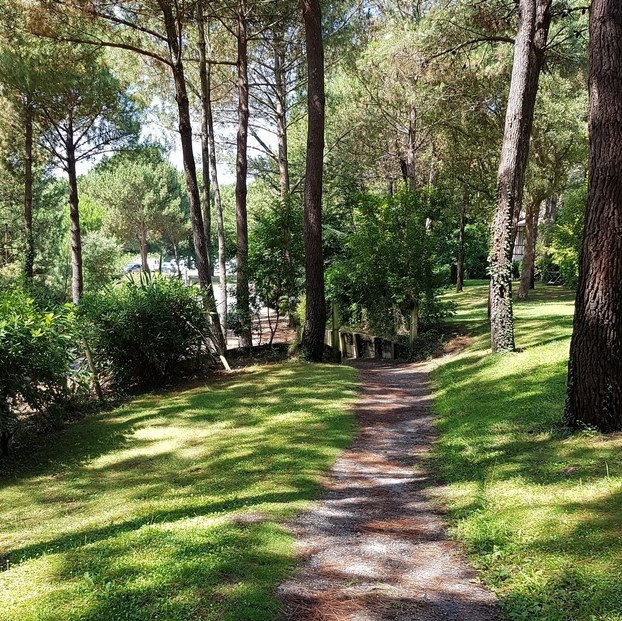 Maison Deslous Golf, Moliets-et-Maa - photo 9