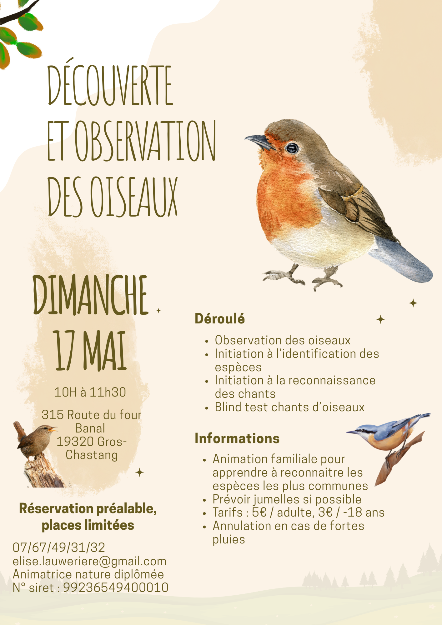 Découverte et observation des oiseaux — visuel événement