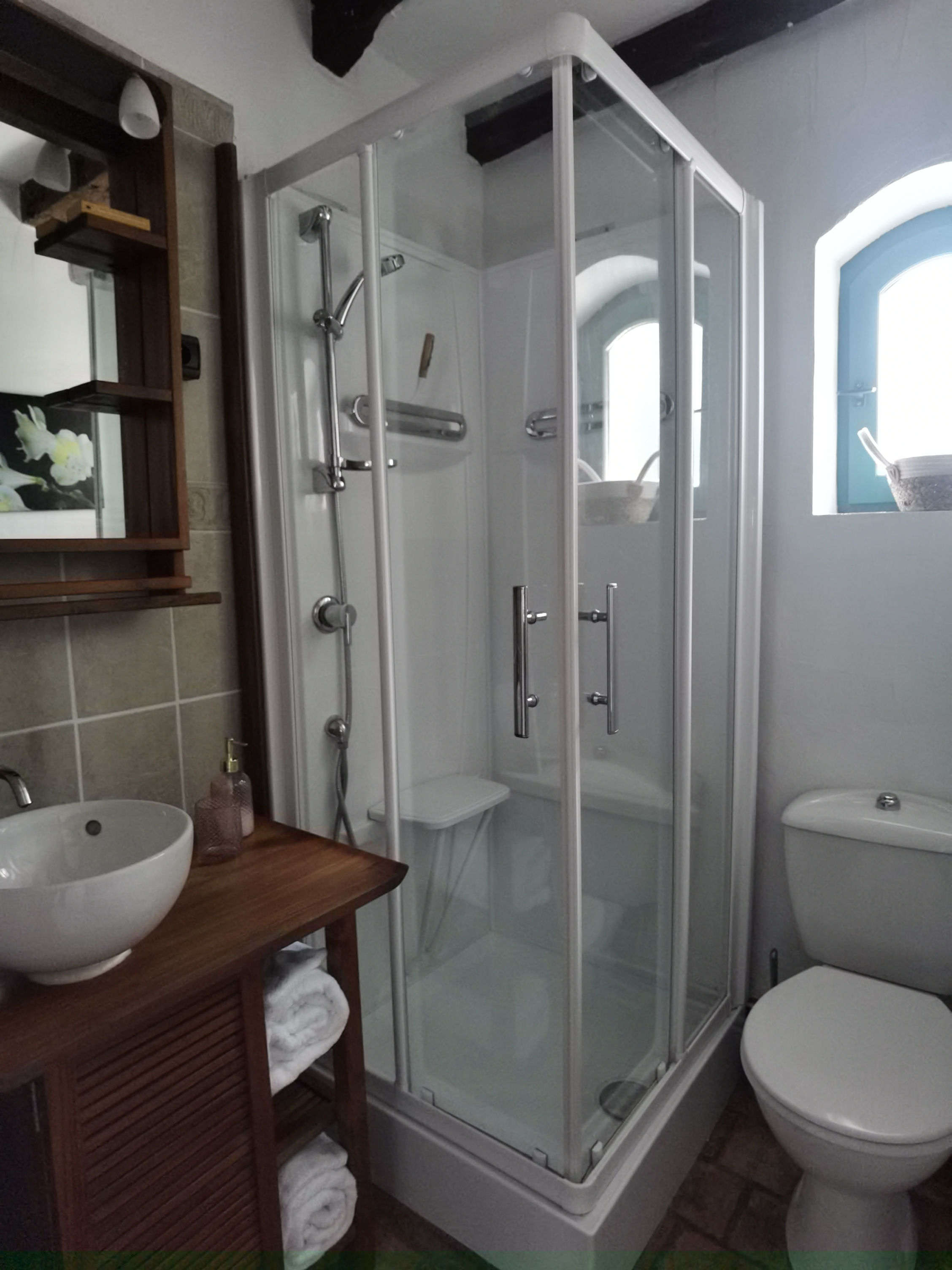 Domaine des Gâtines, Berthegon - photo 6