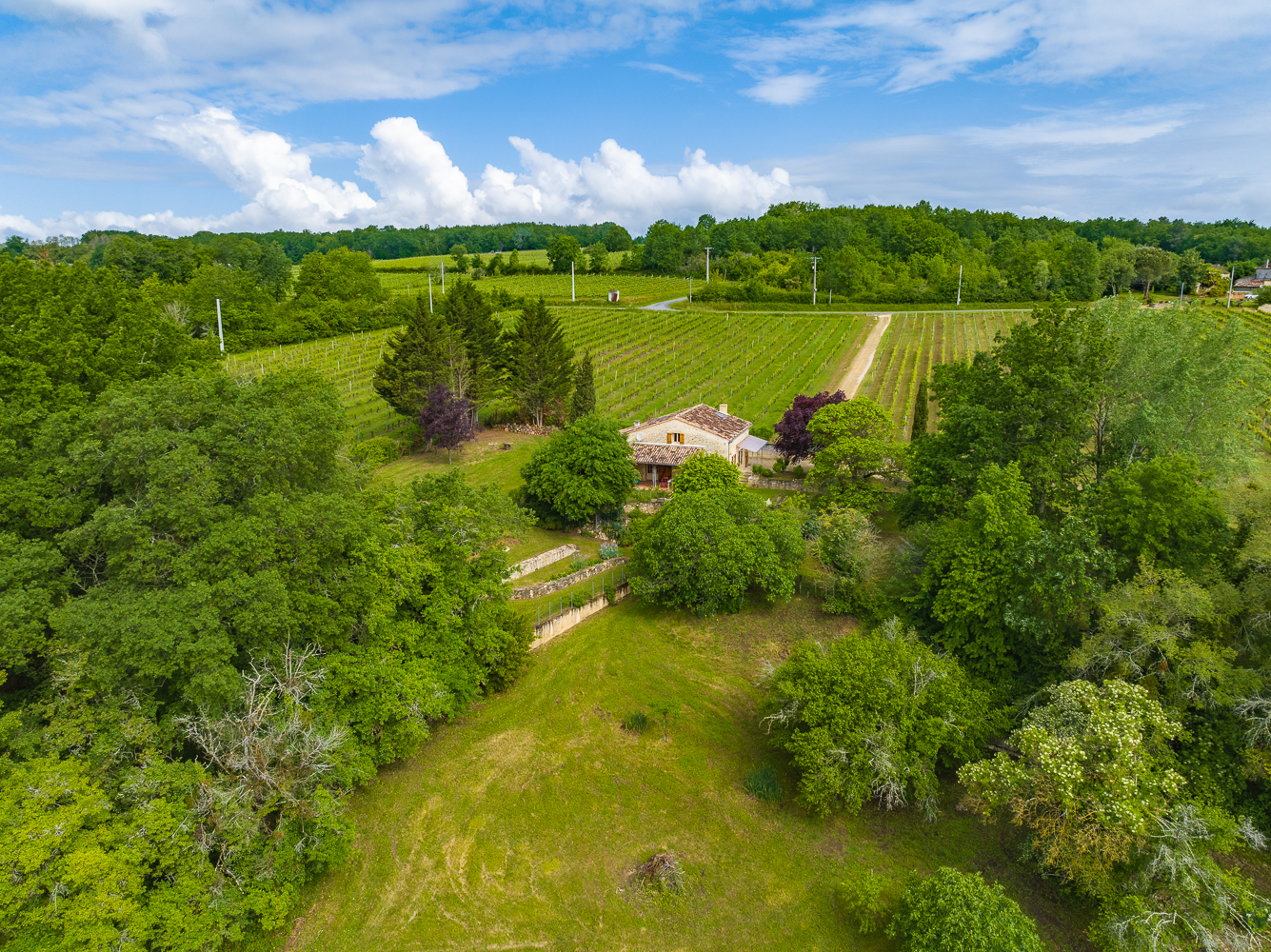 La Sarpette - photo 4