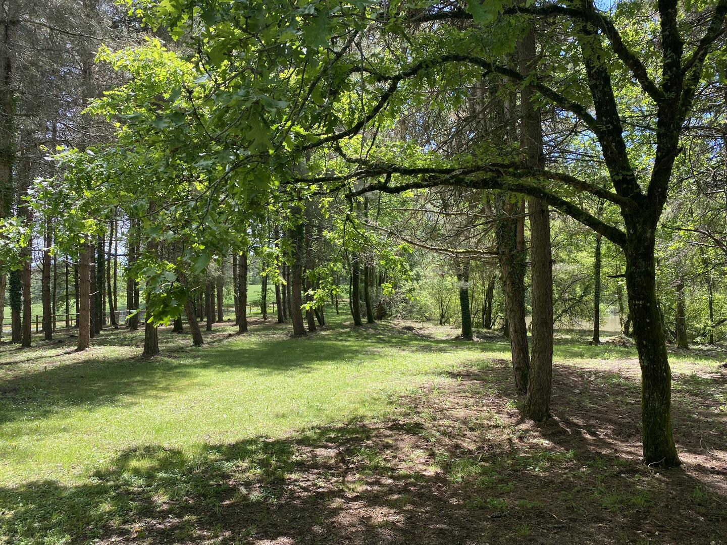 Domaine de Lithos, Fossemagne - photo 21