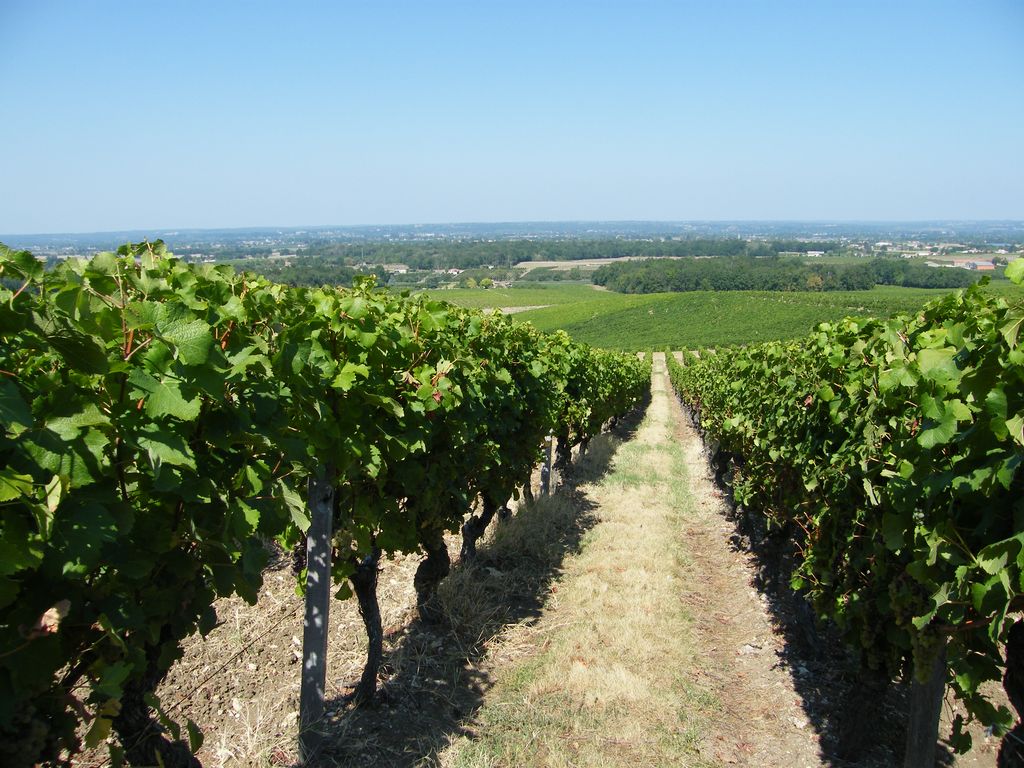 Domaine de Montlong