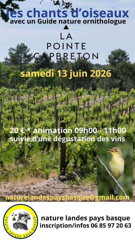 Animation chants d'oiseaux et dégustation vins