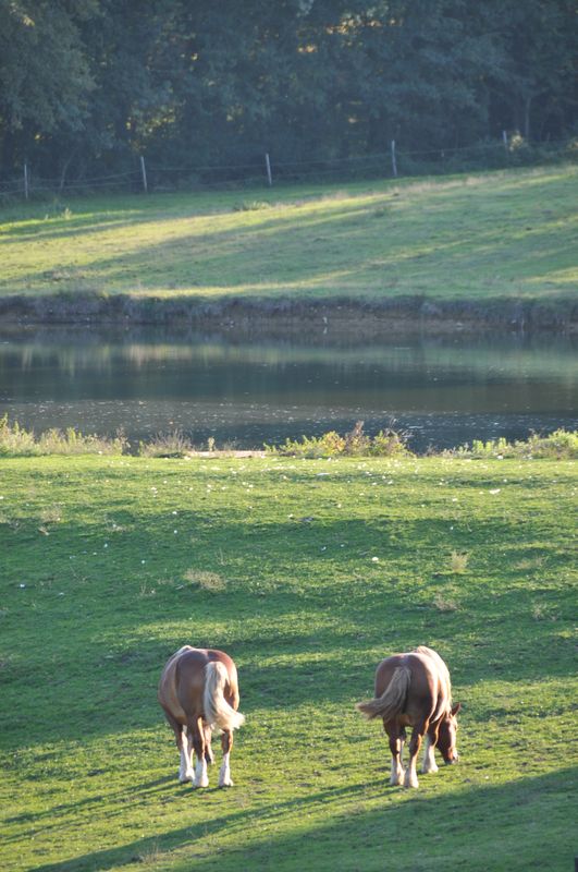 Domaine de la Linière - photo 3