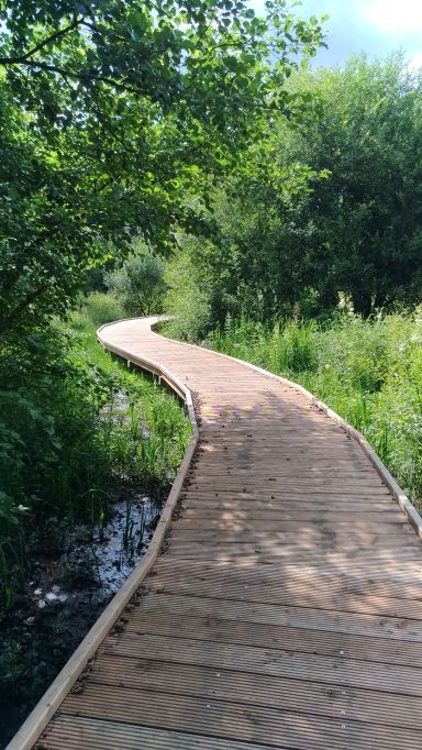 Etang Neuf : Aire de pique-nique et de jeux, Dontreix - photo 3