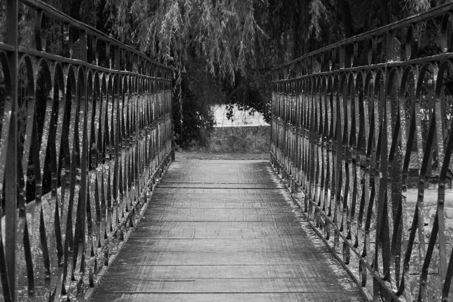 Ville de Nérac, Nérac - photo 29