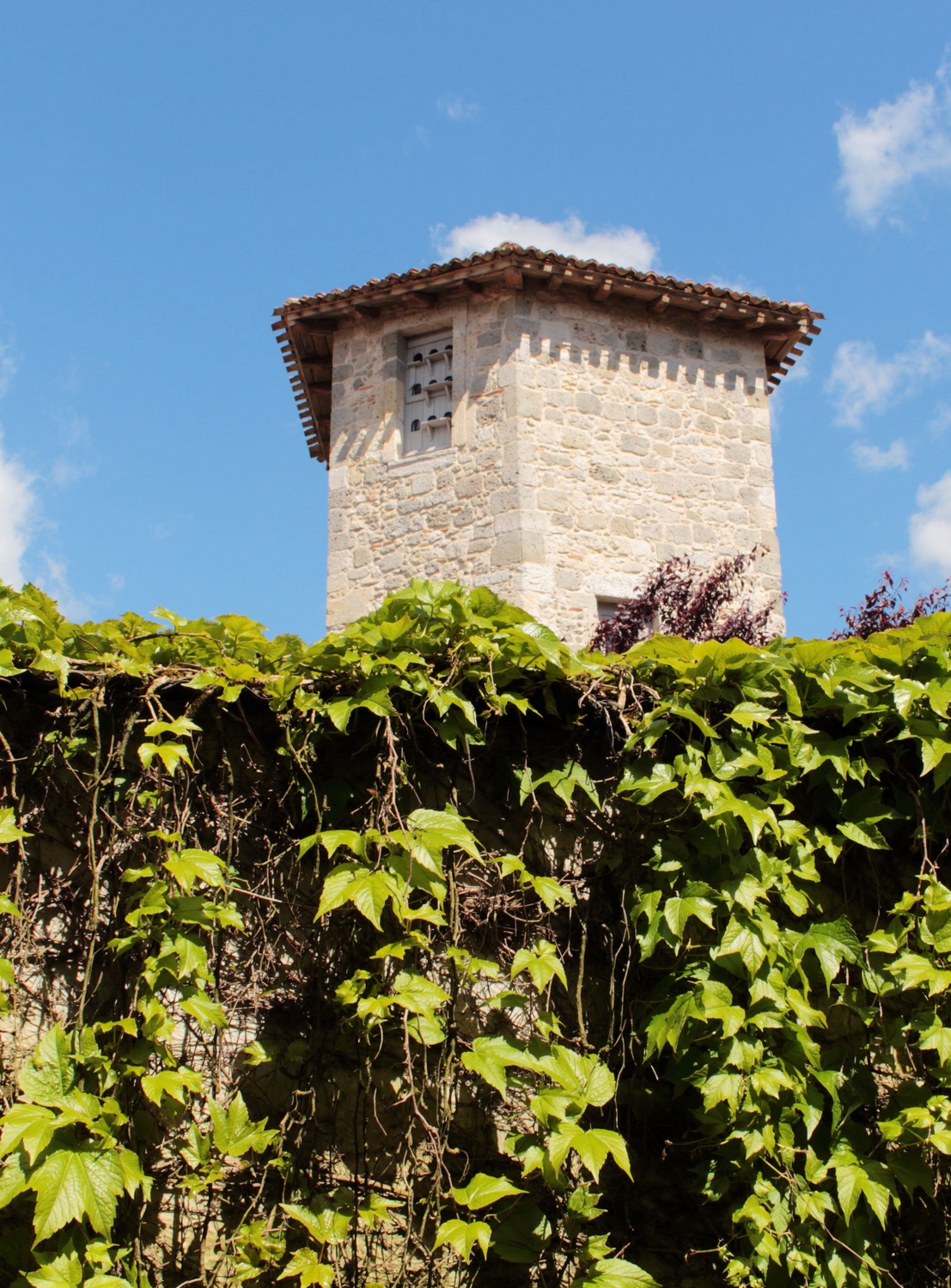 Ville de Nérac, Nérac - photo 19