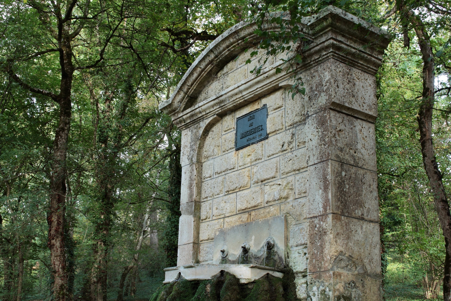 Ville de Nérac, Nérac - photo 14