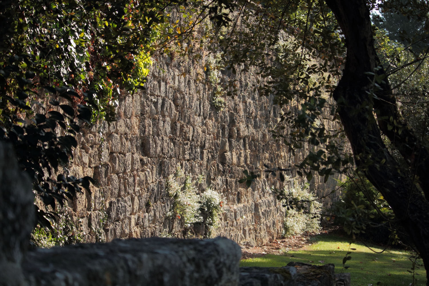 Village de Mézin, Mézin - photo 5