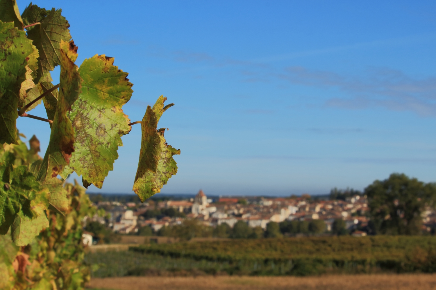 Village de Mézin, Mézin - photo 7