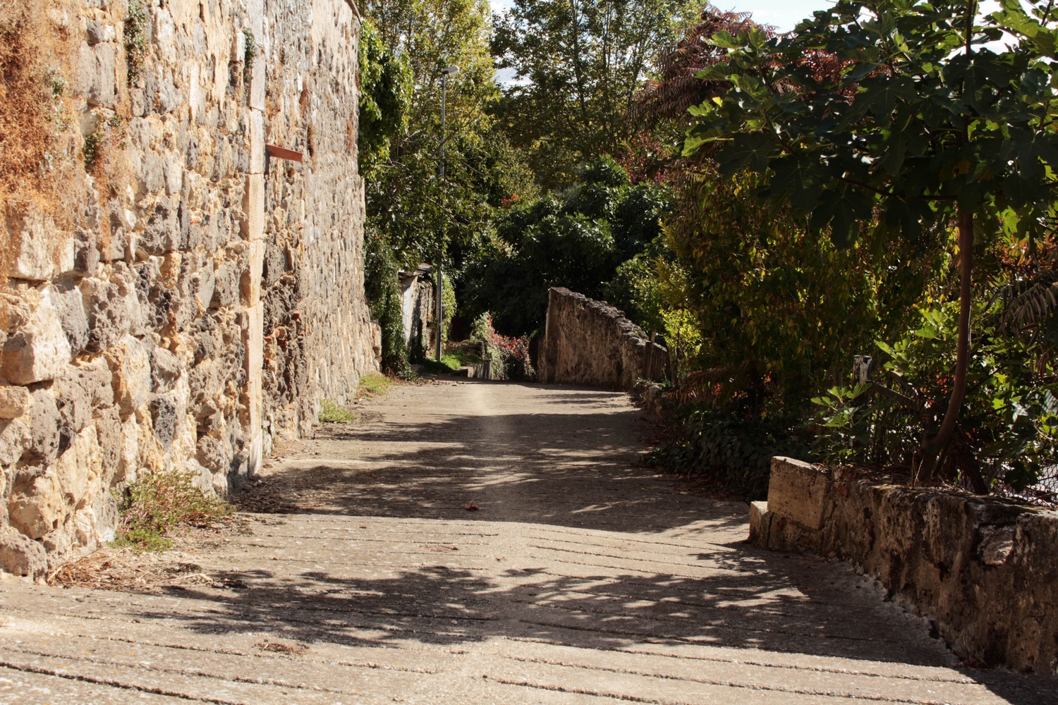 Village de Mézin, Mézin - photo 2