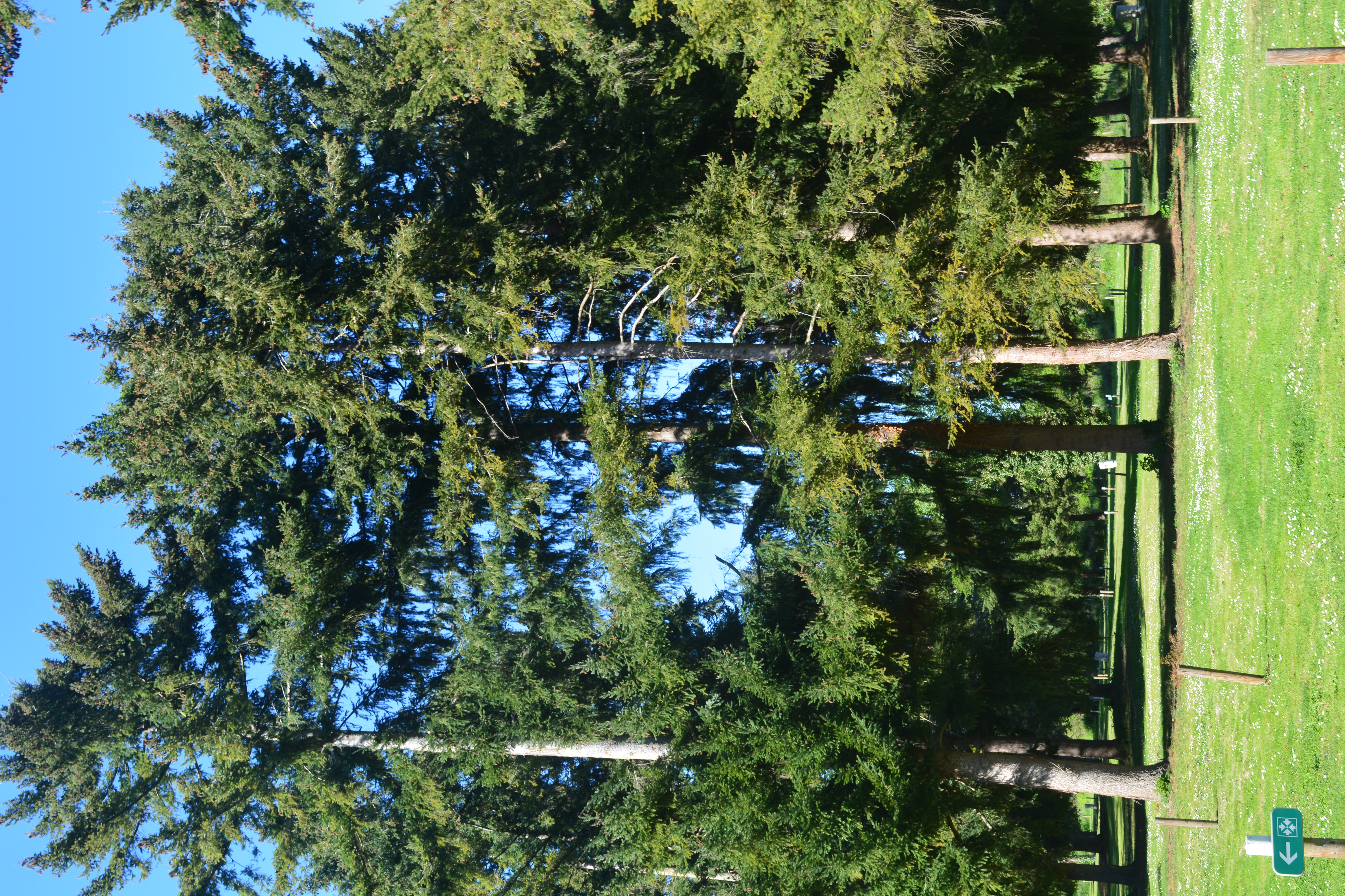 Camping Le Grand Pré