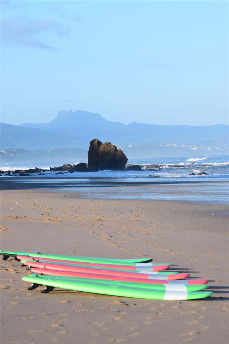Alaia Surf Club