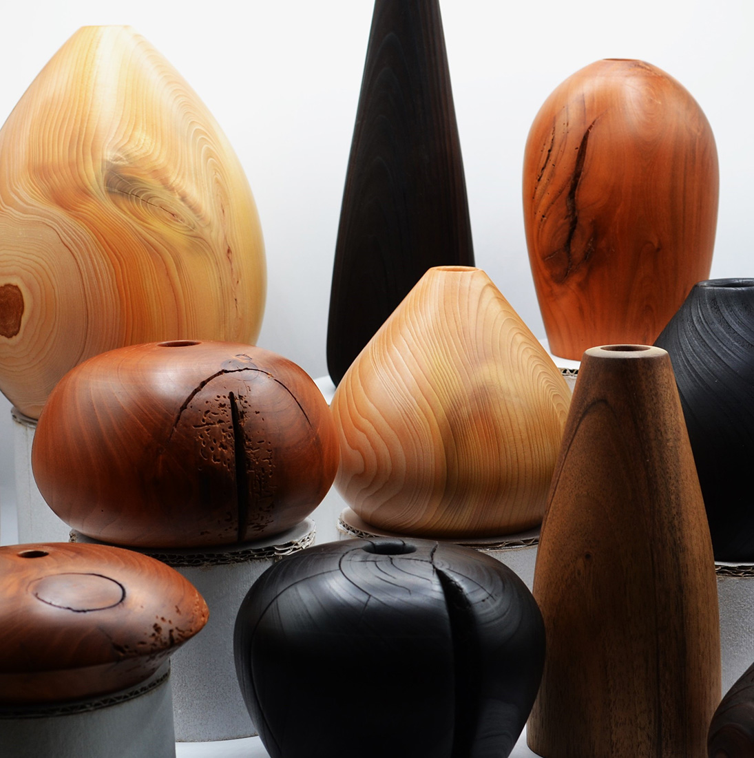 L'écorce buissonnière