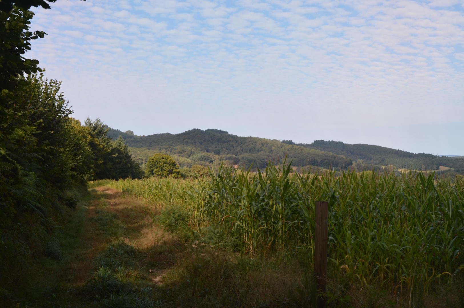 Circuit Pédestre N°2 : Sur les pas des Maquisards, Saint-Hilaire-le-Château - photo 4