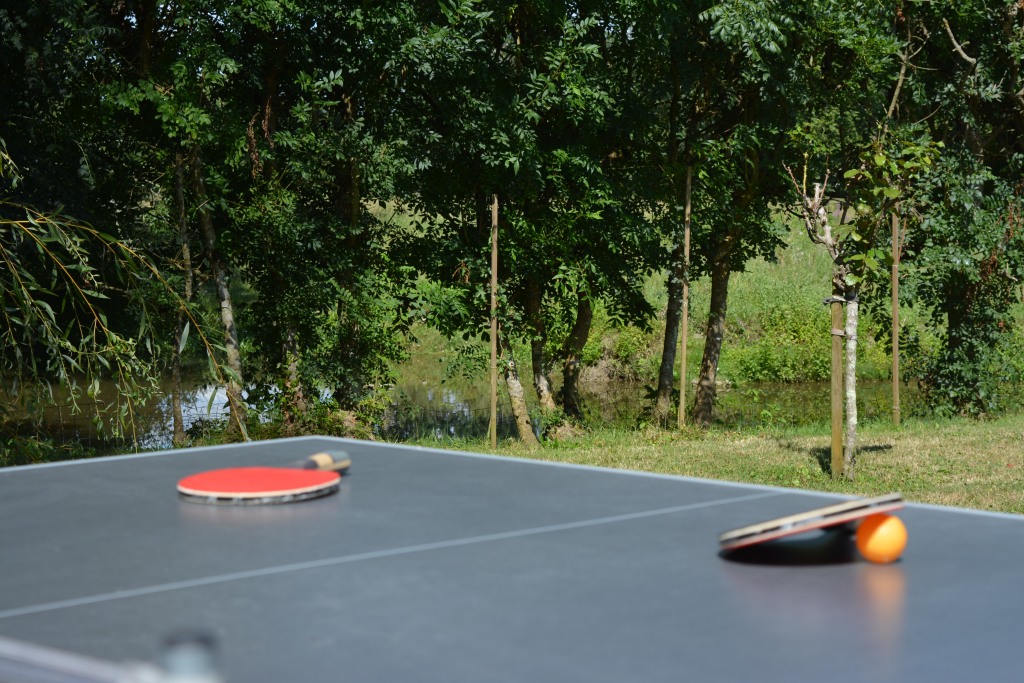 Gîte "La Cabane à Doudou", Coulon - photo 32