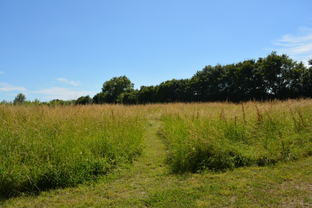 Gîte "Côté Marguerites" - Le Hameau de Sainte-Mégrine - photo 3