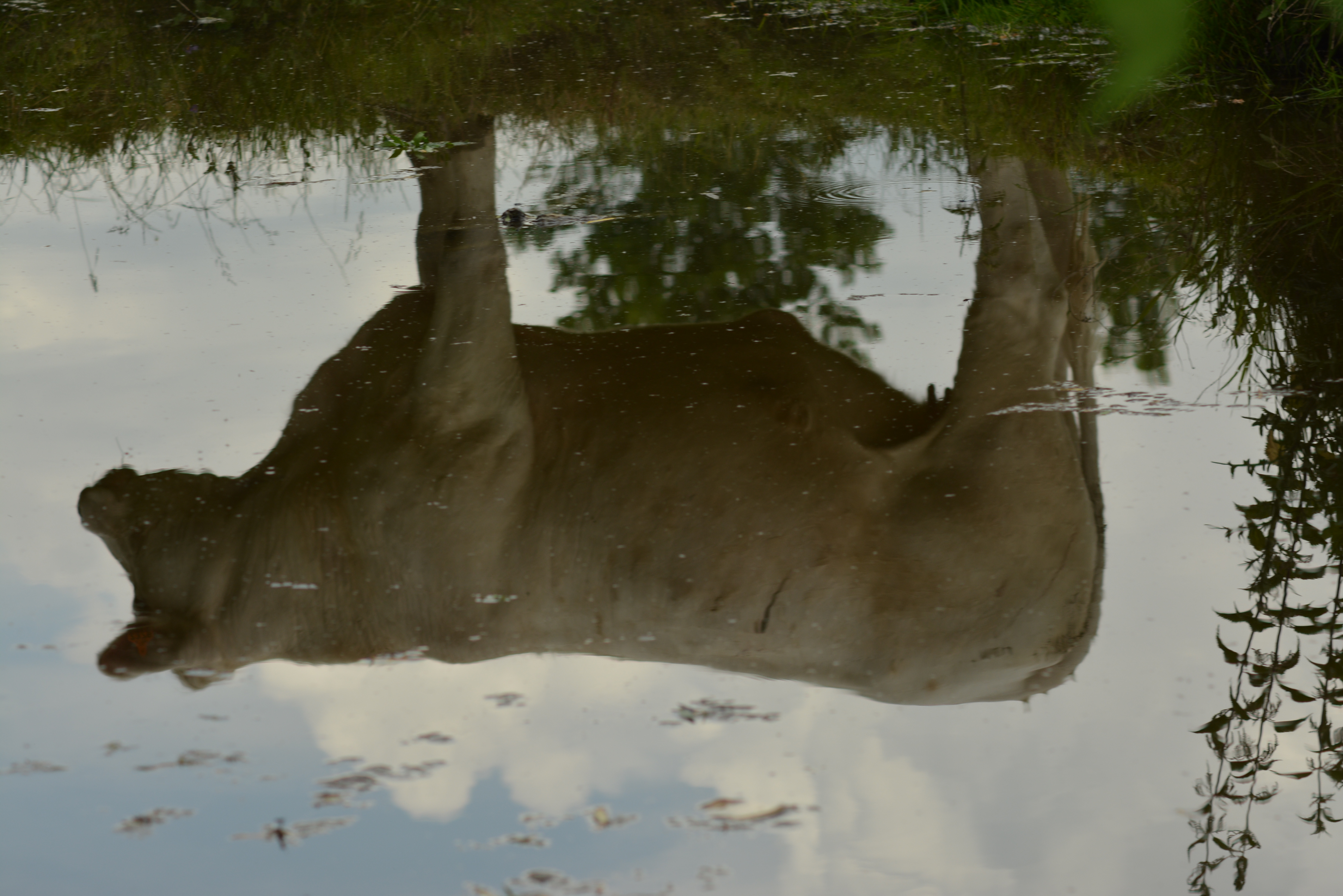 Gîte "La Cabane à Doudou", Coulon - photo 38