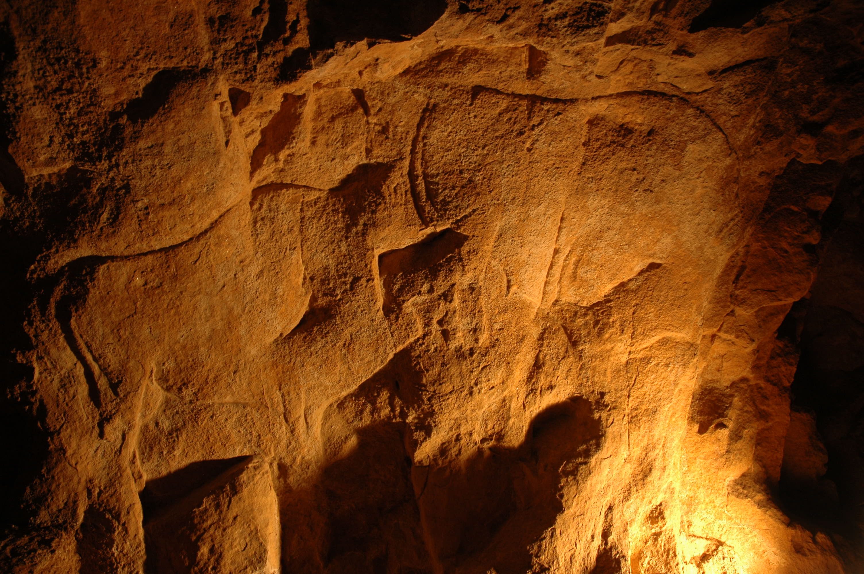 Centre d'Interprétation du Roc-aux-Sorciers, Angles-sur-l'Anglin - photo 5