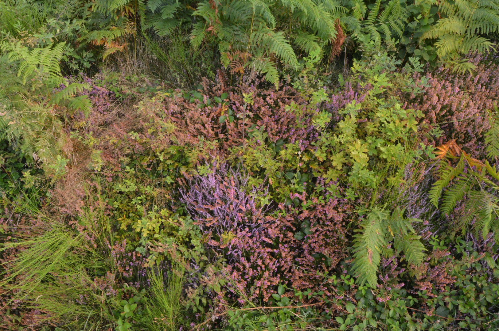 Circuit Pédestre N°2 : Sur les pas des Maquisards, Saint-Hilaire-le-Château - photo 8
