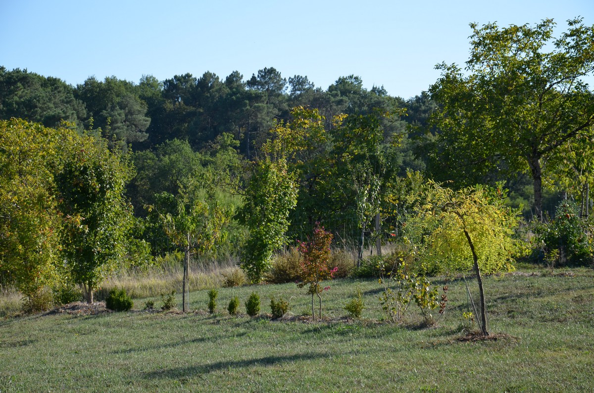 L'Oustalet - photo 3