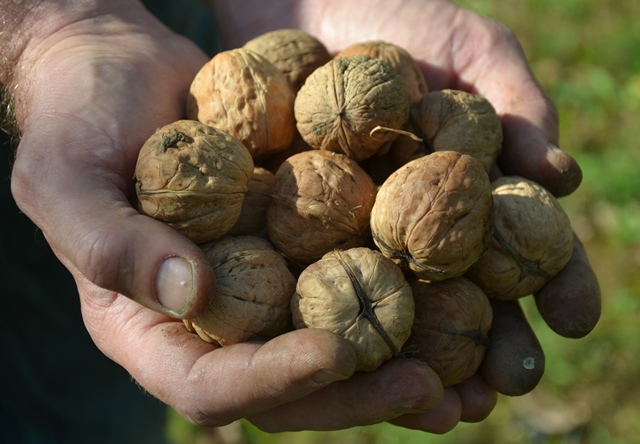 Vignes et Vergers de Corrèze