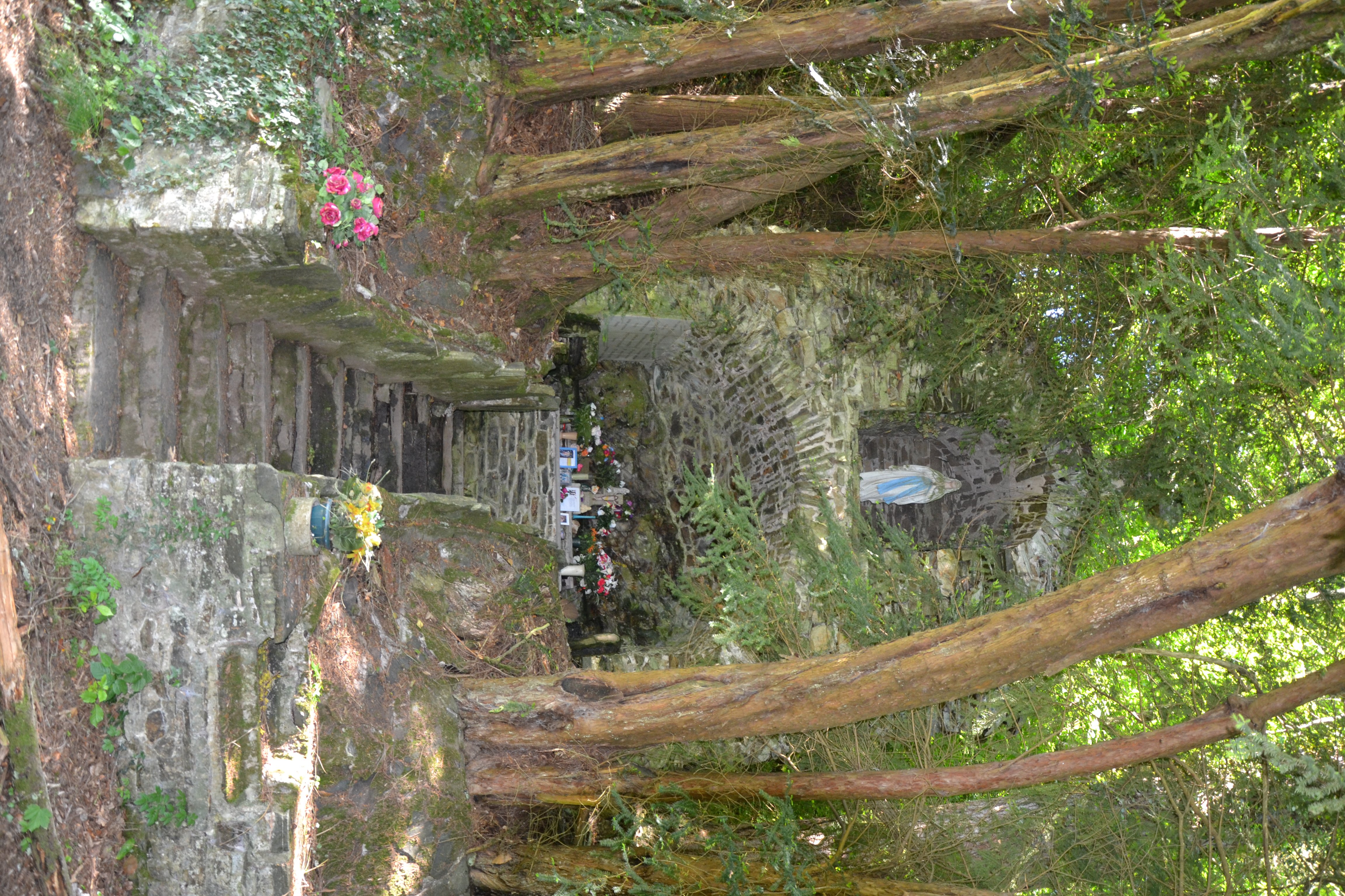 Les ifs de Notre-Dame des Champs, Beynac