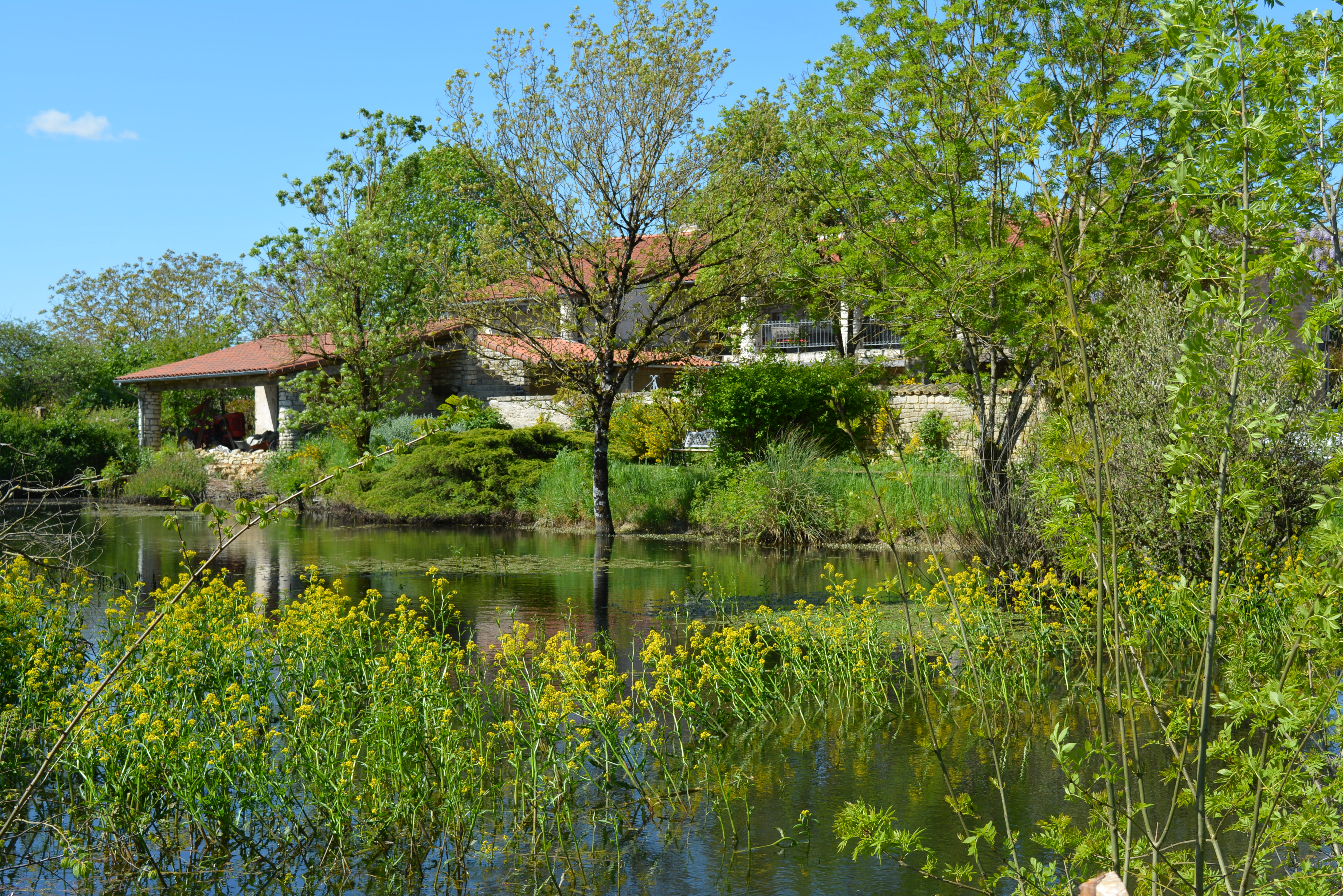 Chambres d'hôtes - Le Hameau de Sainte-Mégrine - photo 3