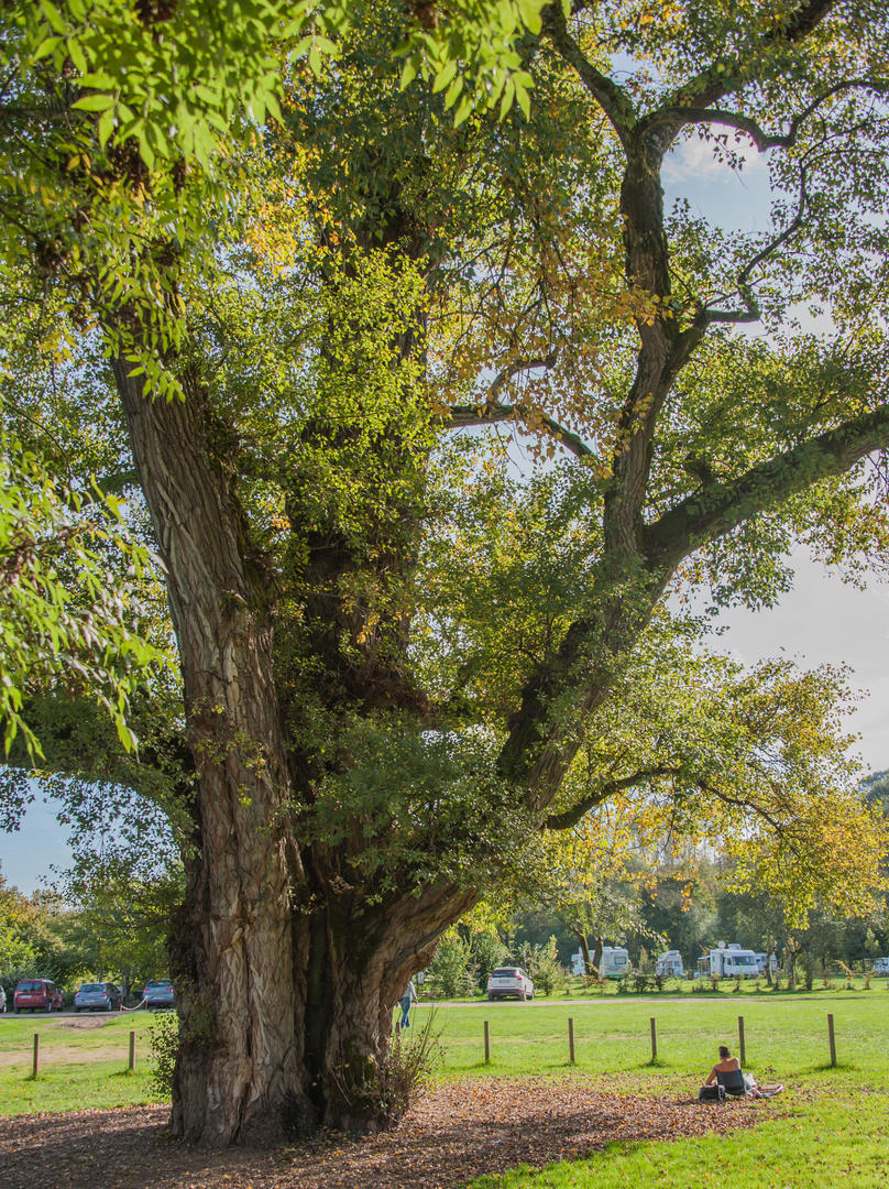 Brantôme, "La Venise du Périgord", Brantôme en Périgord - photo 5