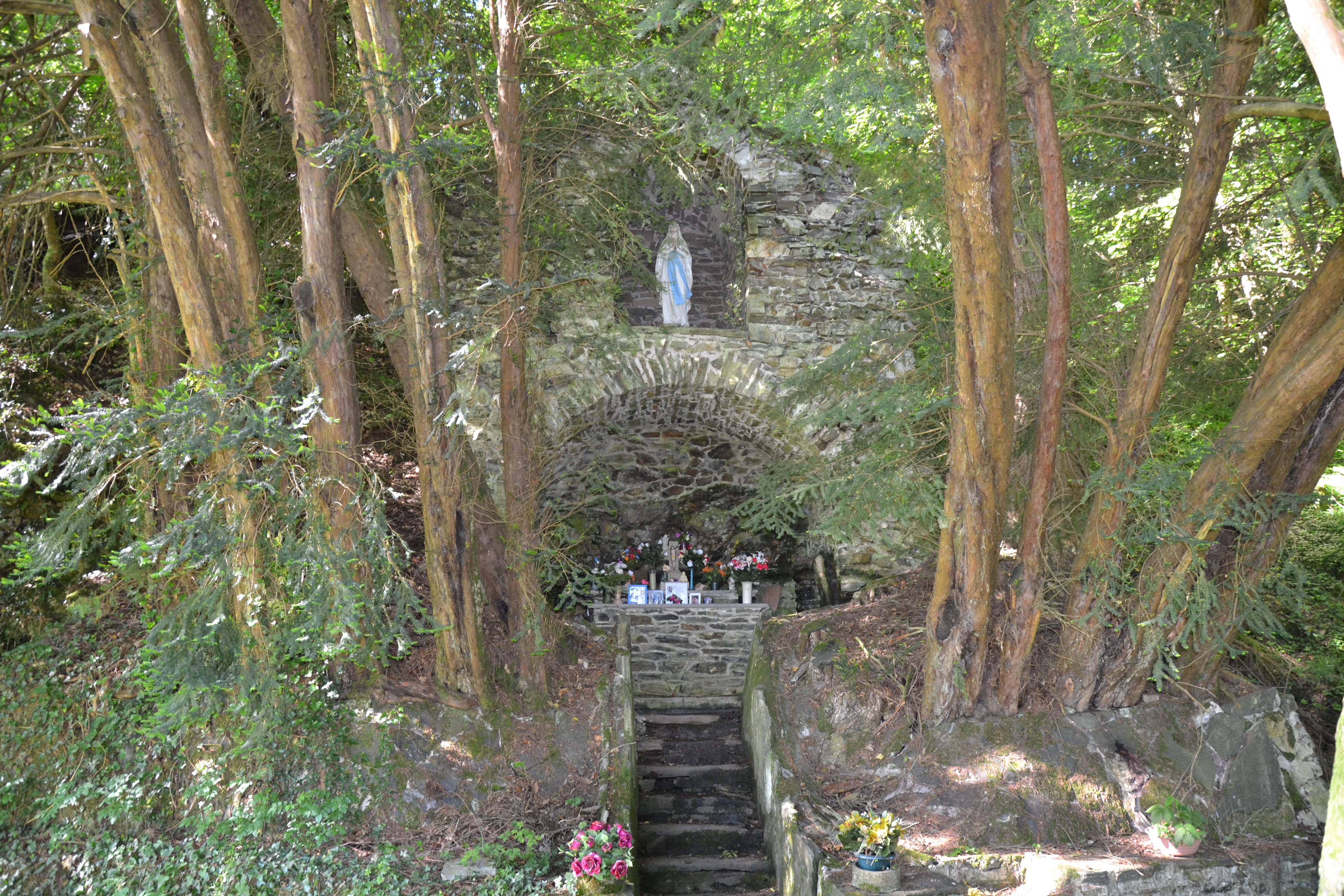 Les ifs de Notre-Dame des Champs