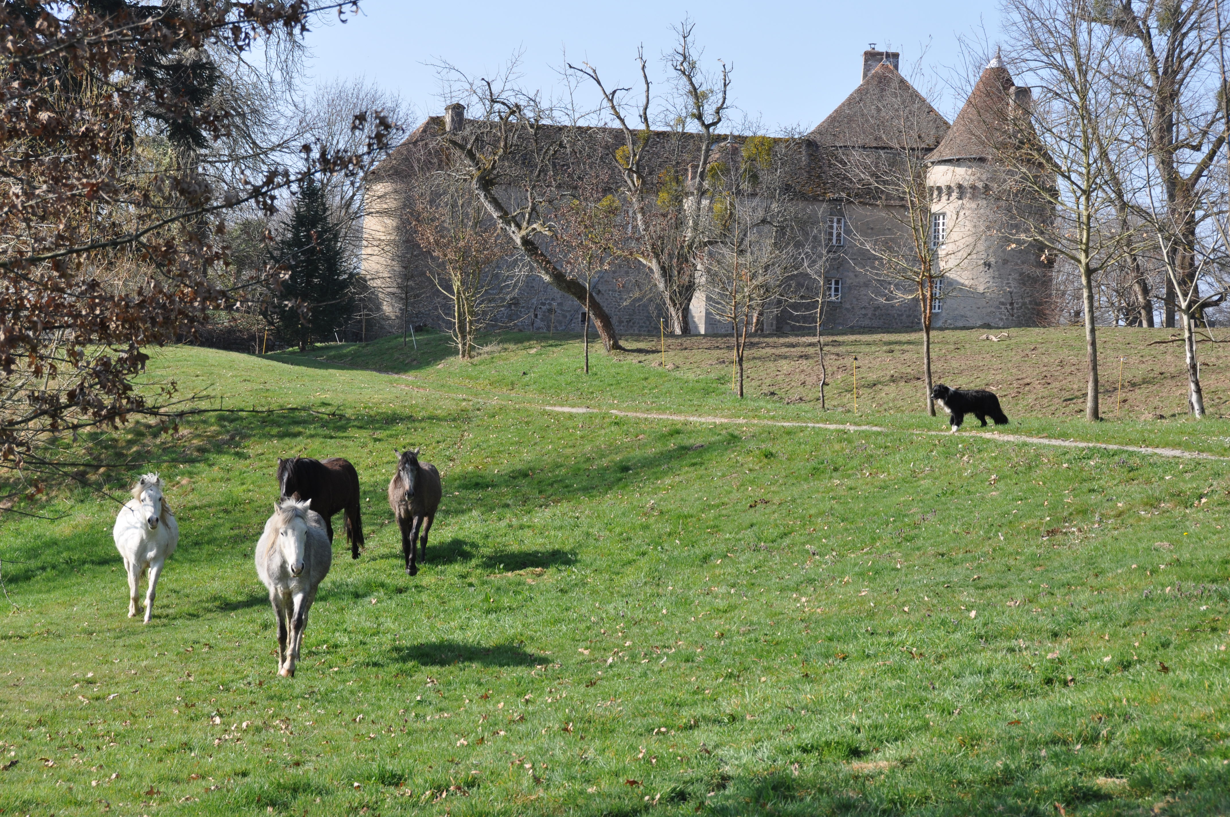 LA BUJADE, Peyrat-la-Nonière - photo 10