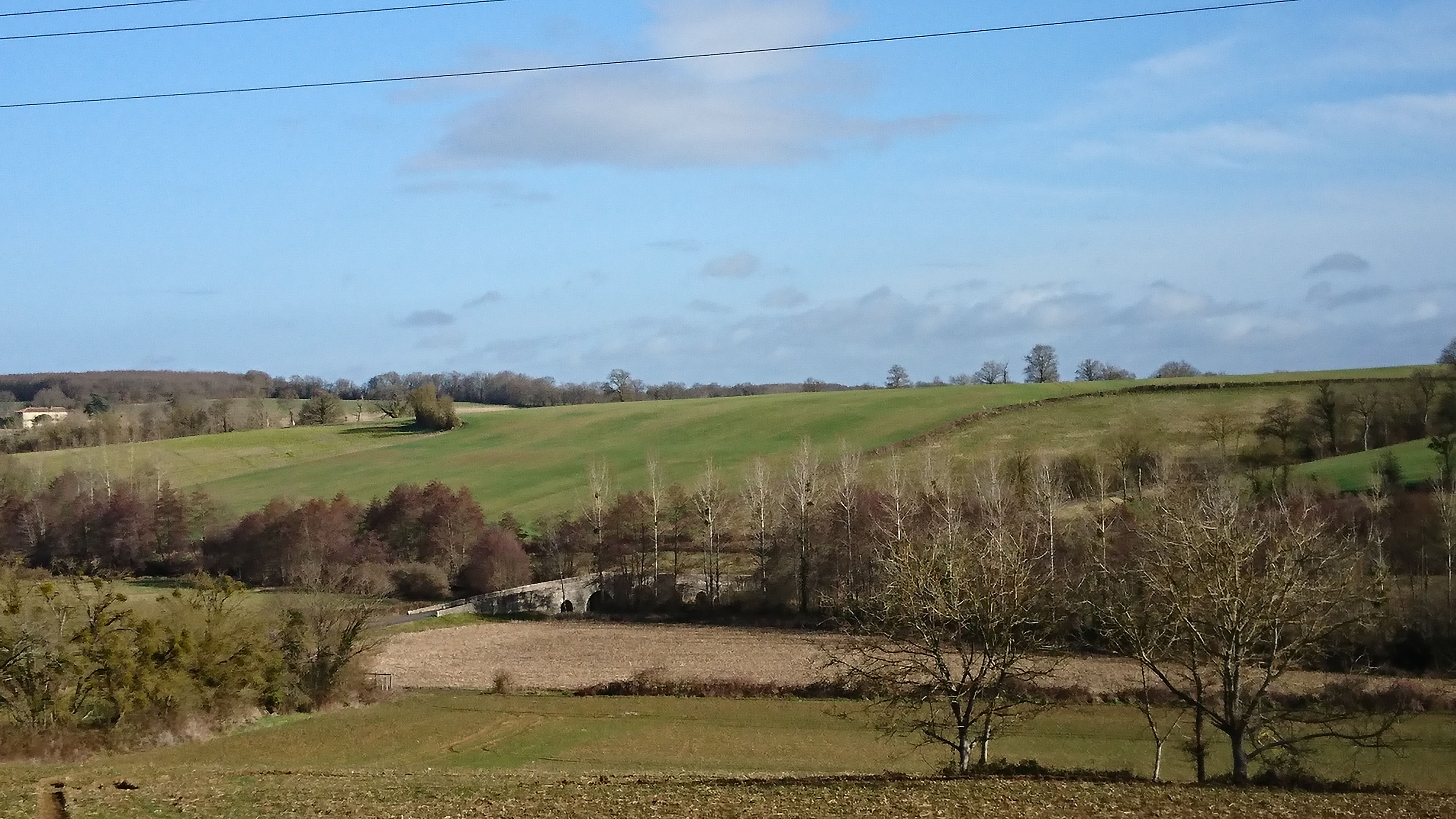 Le portail charentais, Chatain - photo 7