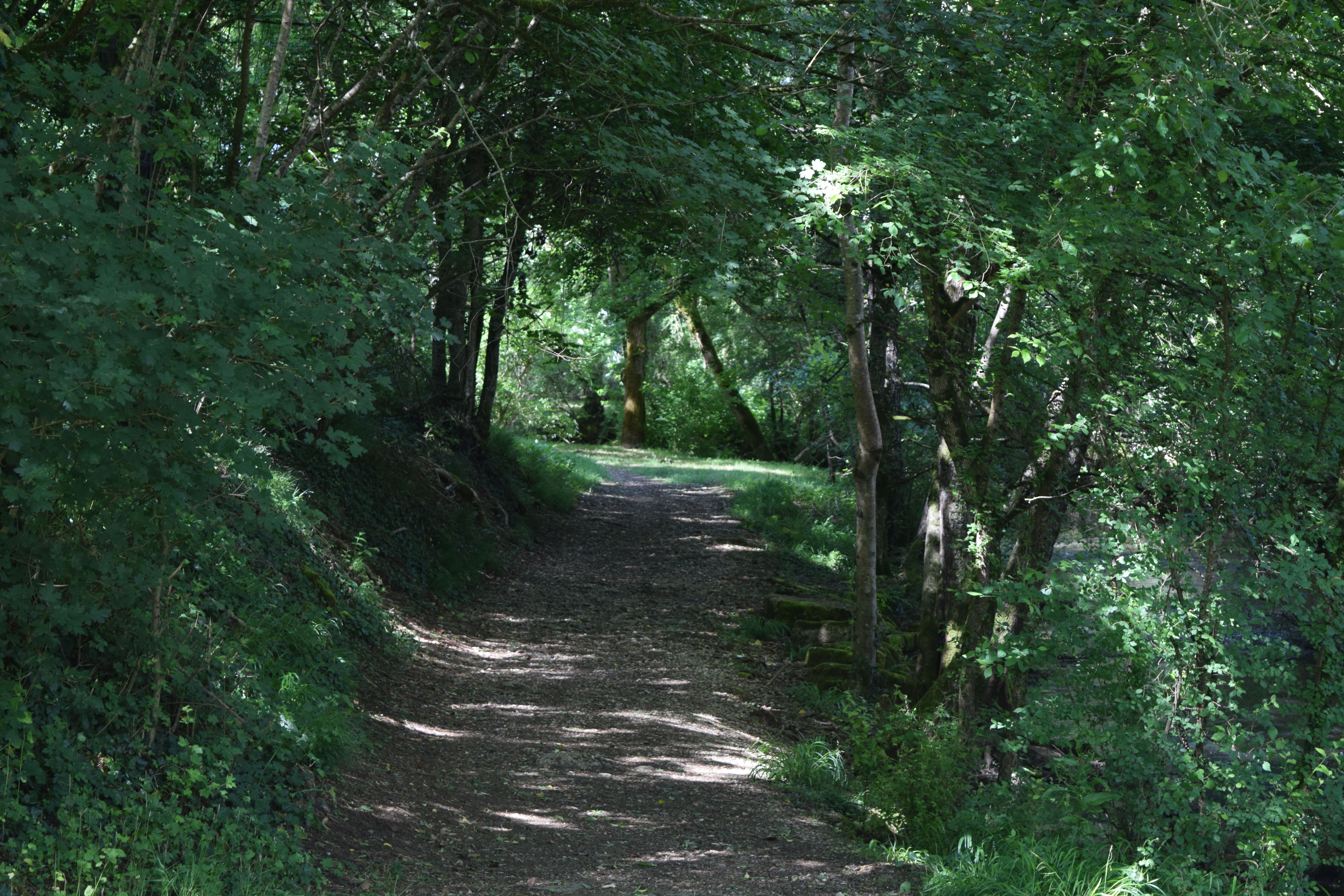 Le Pont Romain, Azay-le-Brûlé