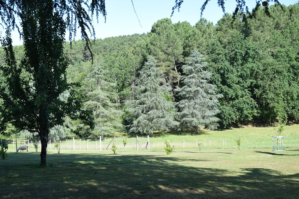 Le Refuge des Ecureuils, Campsegret - photo 9