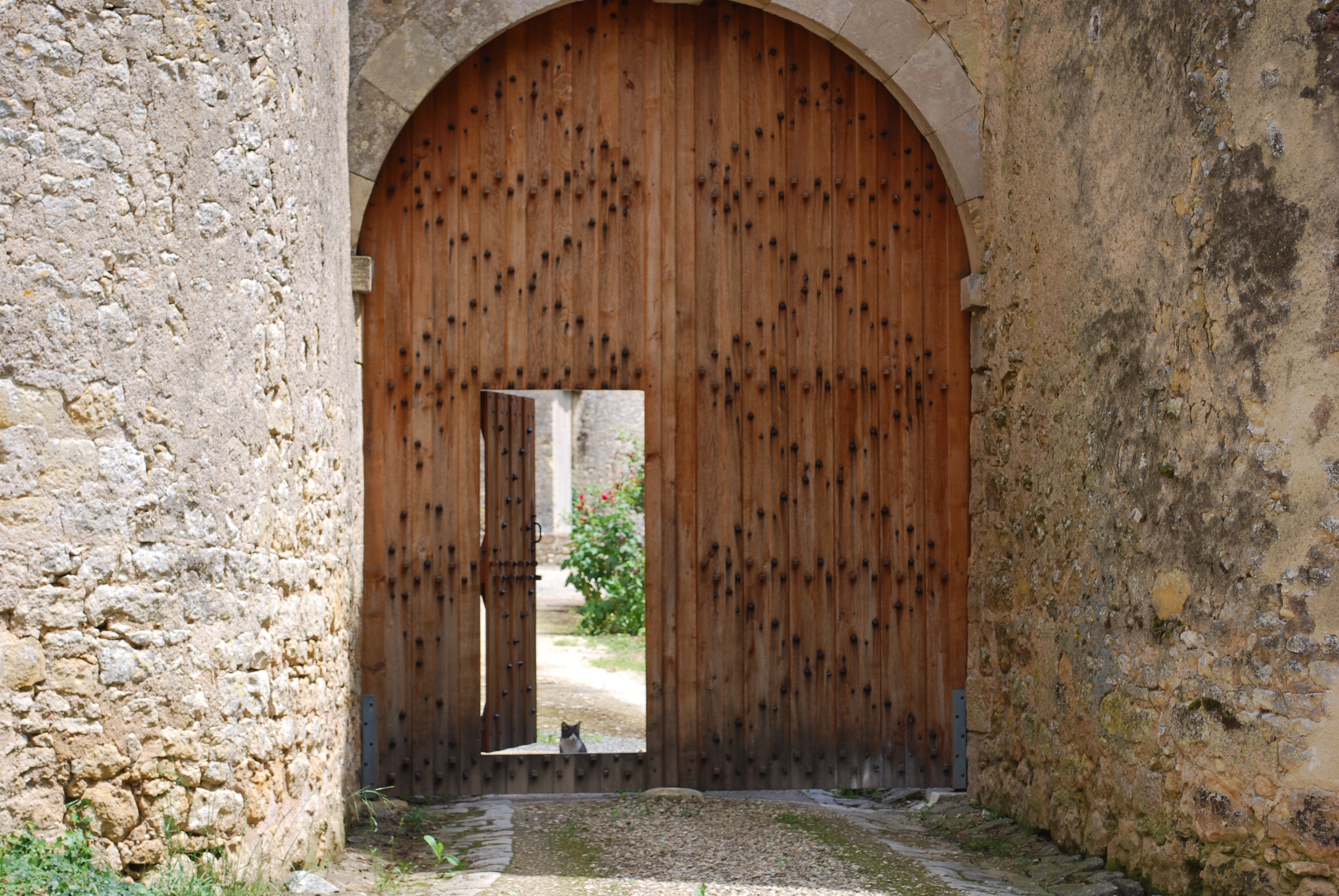 Château de Piogé, Availles-Thouarsais - photo 4