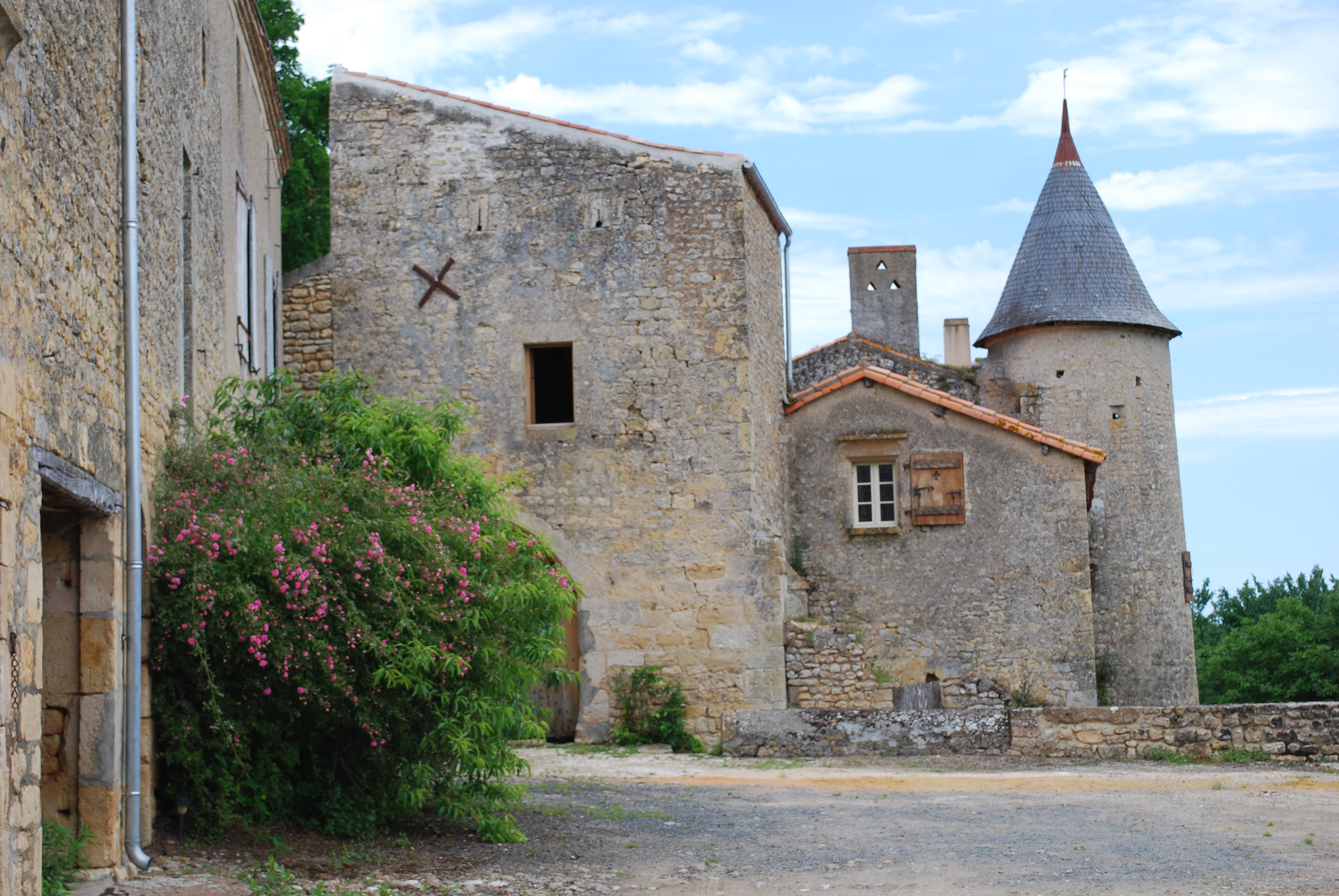 Château de Piogé, Availles-Thouarsais - photo 5