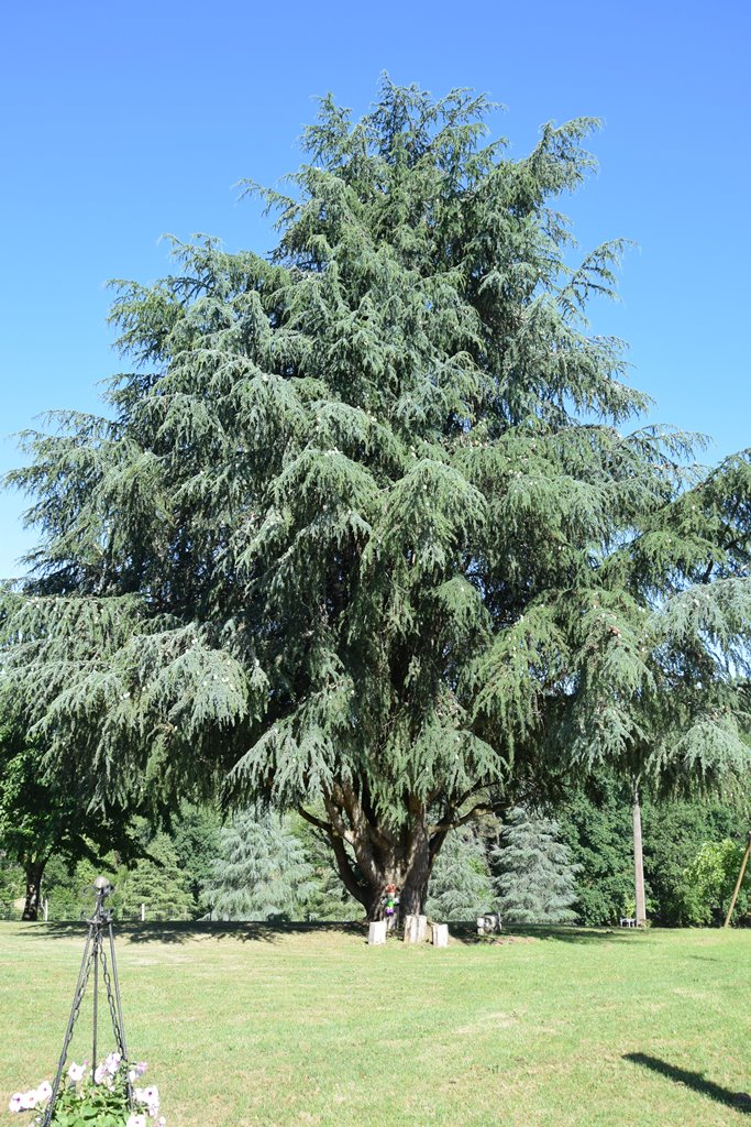 Le Refuge des Ecureuils, Campsegret - photo 11