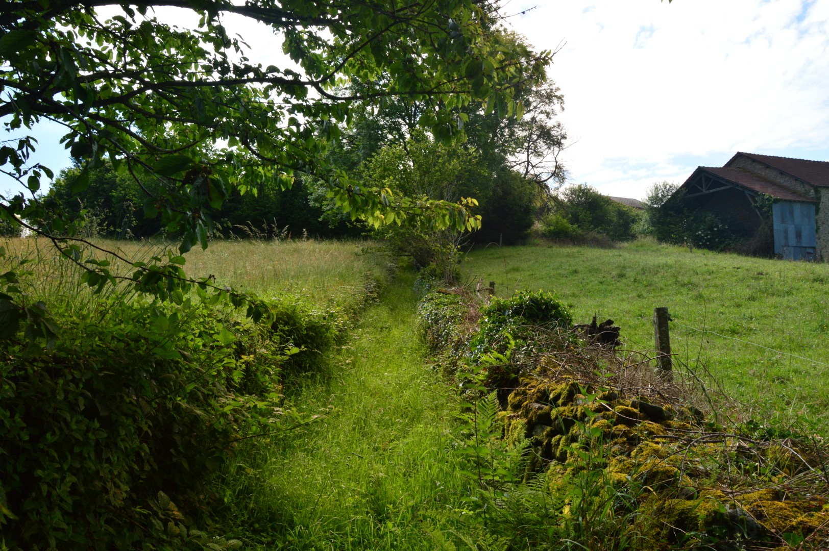 Circuit Pédestre N° 54 : Le chemin de l'Etang — photo 2