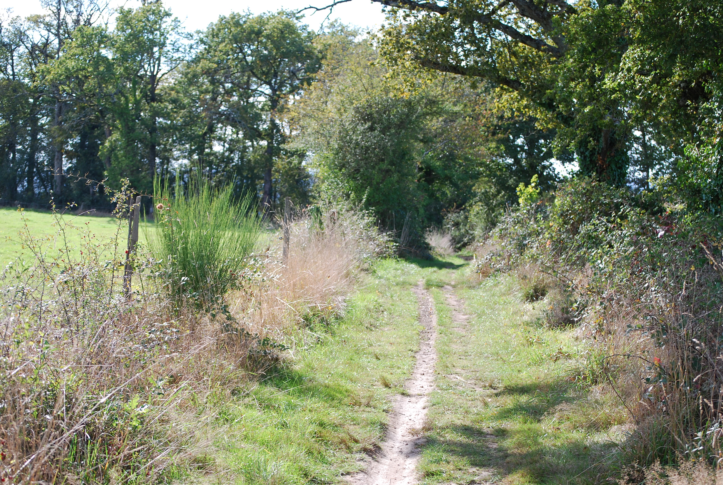 Le Val de Vienne Tour - Grande Boucle de VTT, Aixe-sur-Vienne - photo 2