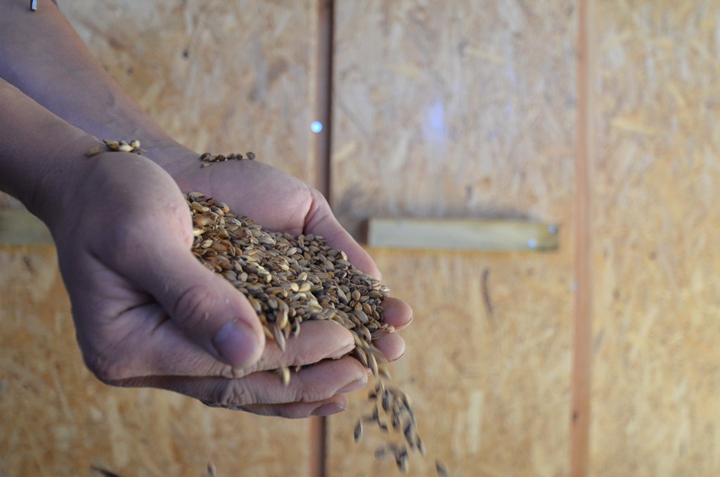 Nano Brasserie artisanale Gemm'7 - bière