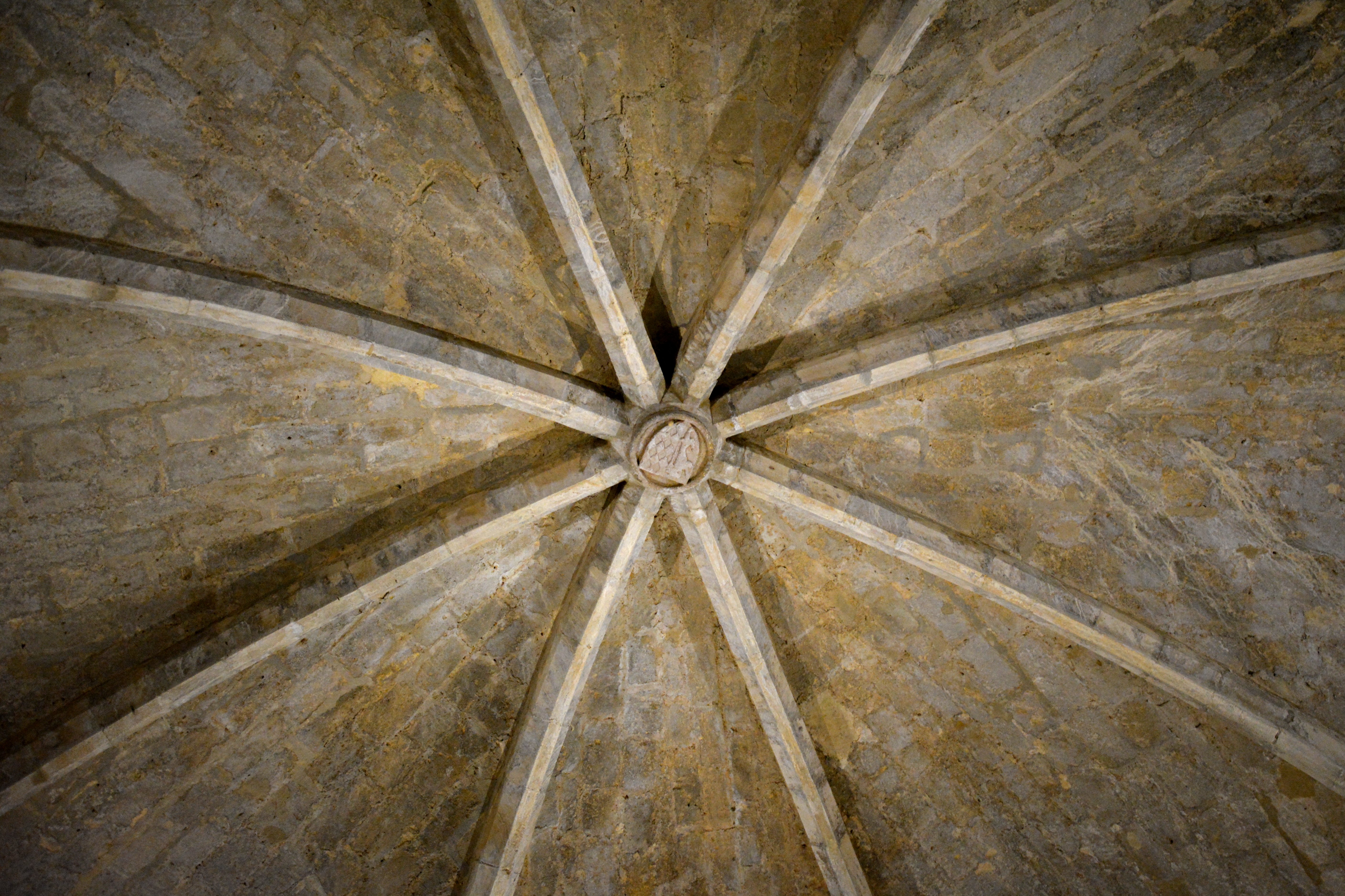 La Tour de l'Honneur et son musée, Lesparre-Médoc