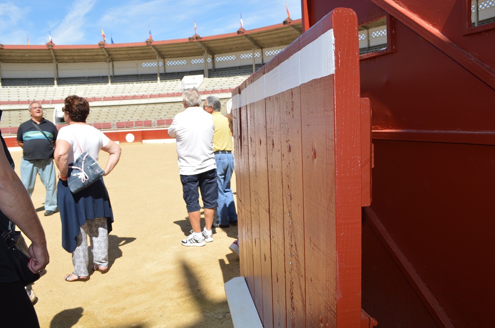 Arènes du Plumaçon - photo 5