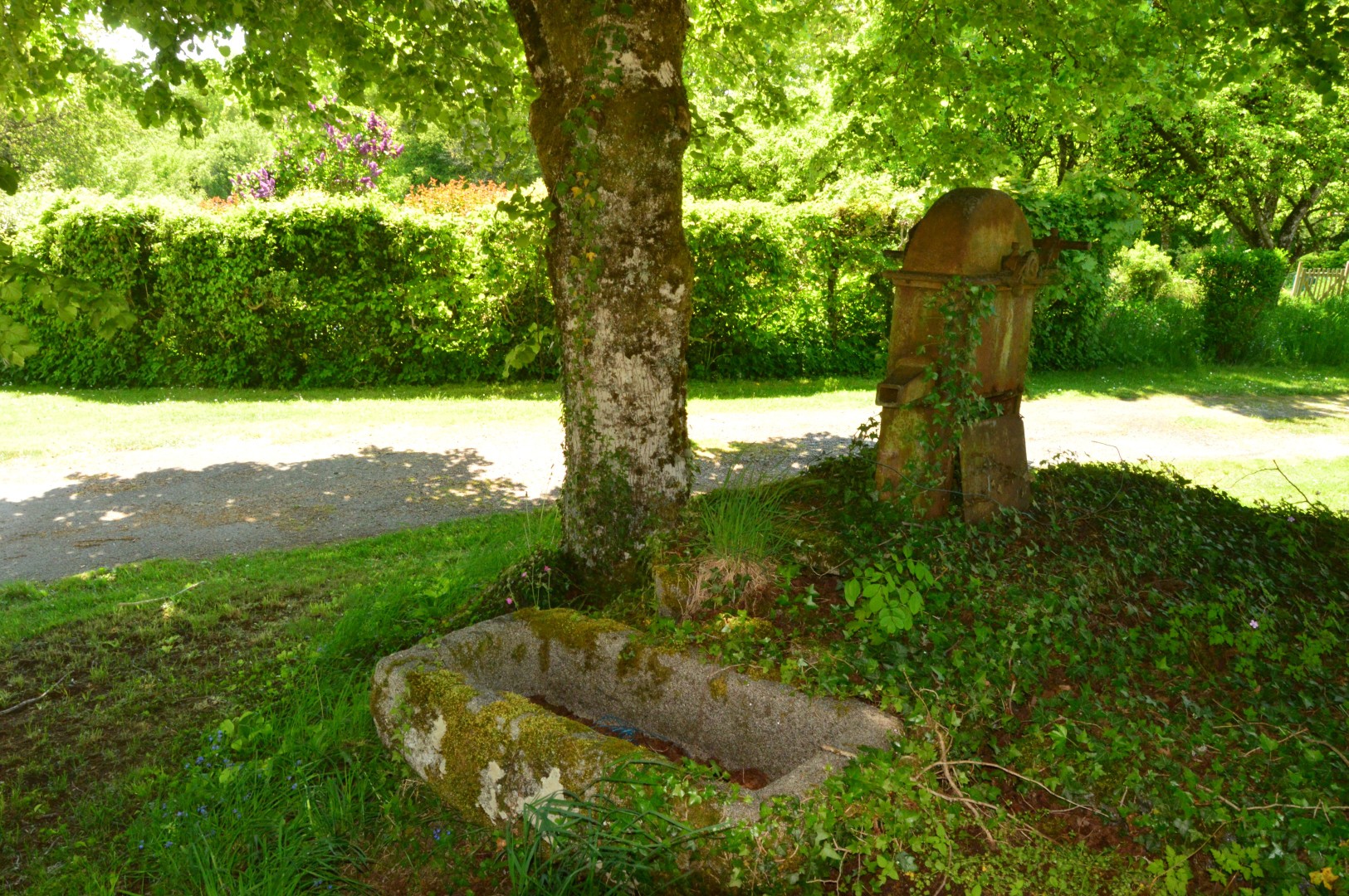 Circuit Pédestre N°29 CC : "Promenons-nous dans les bois de Lépinas"