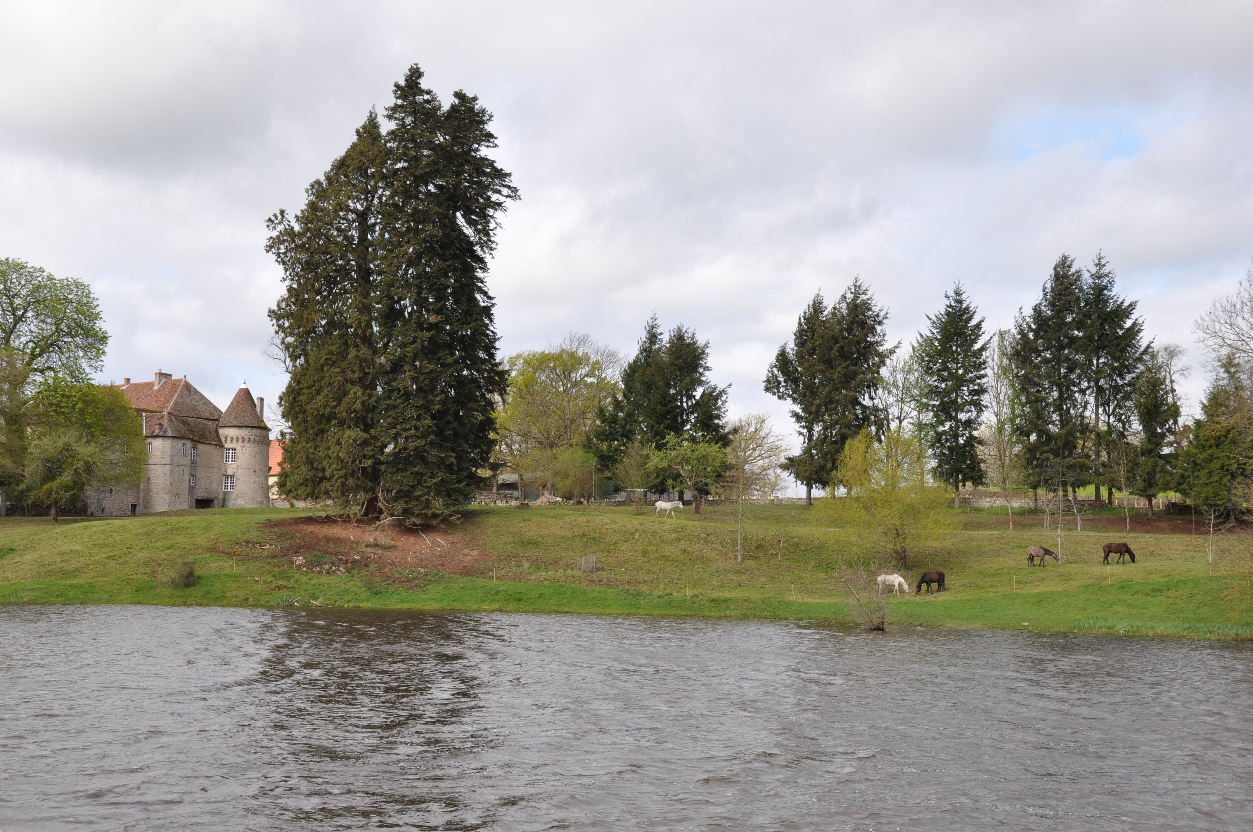 LA MAISON DU DOMAINE, Peyrat-la-Nonière - photo 10
