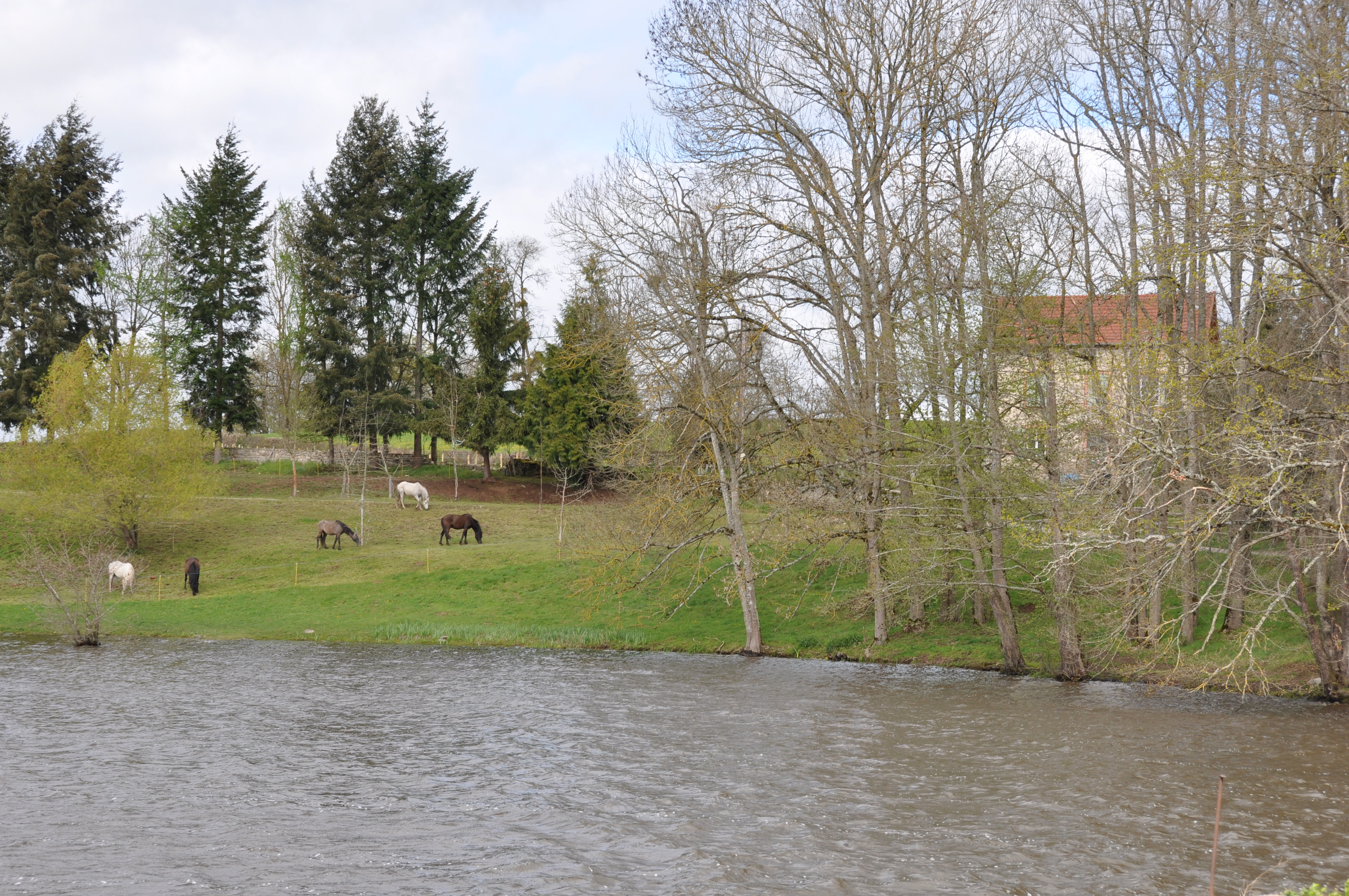 LA MAISON DU DOMAINE, Peyrat-la-Nonière - photo 7