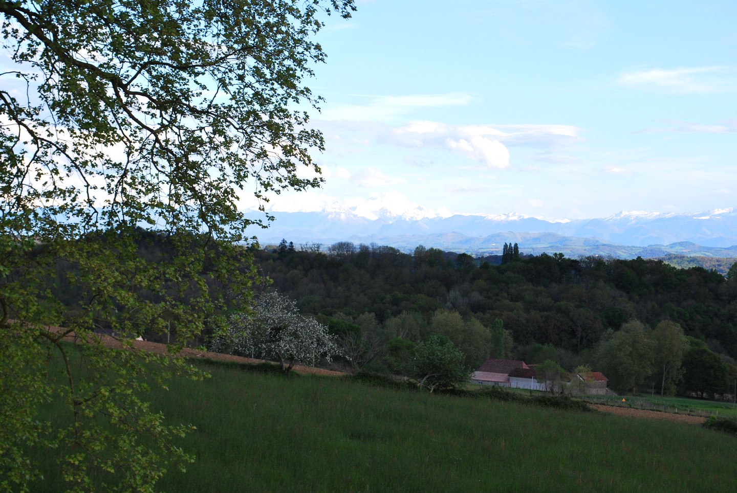Le Chai, Sauveterre-de-Béarn - photo 14