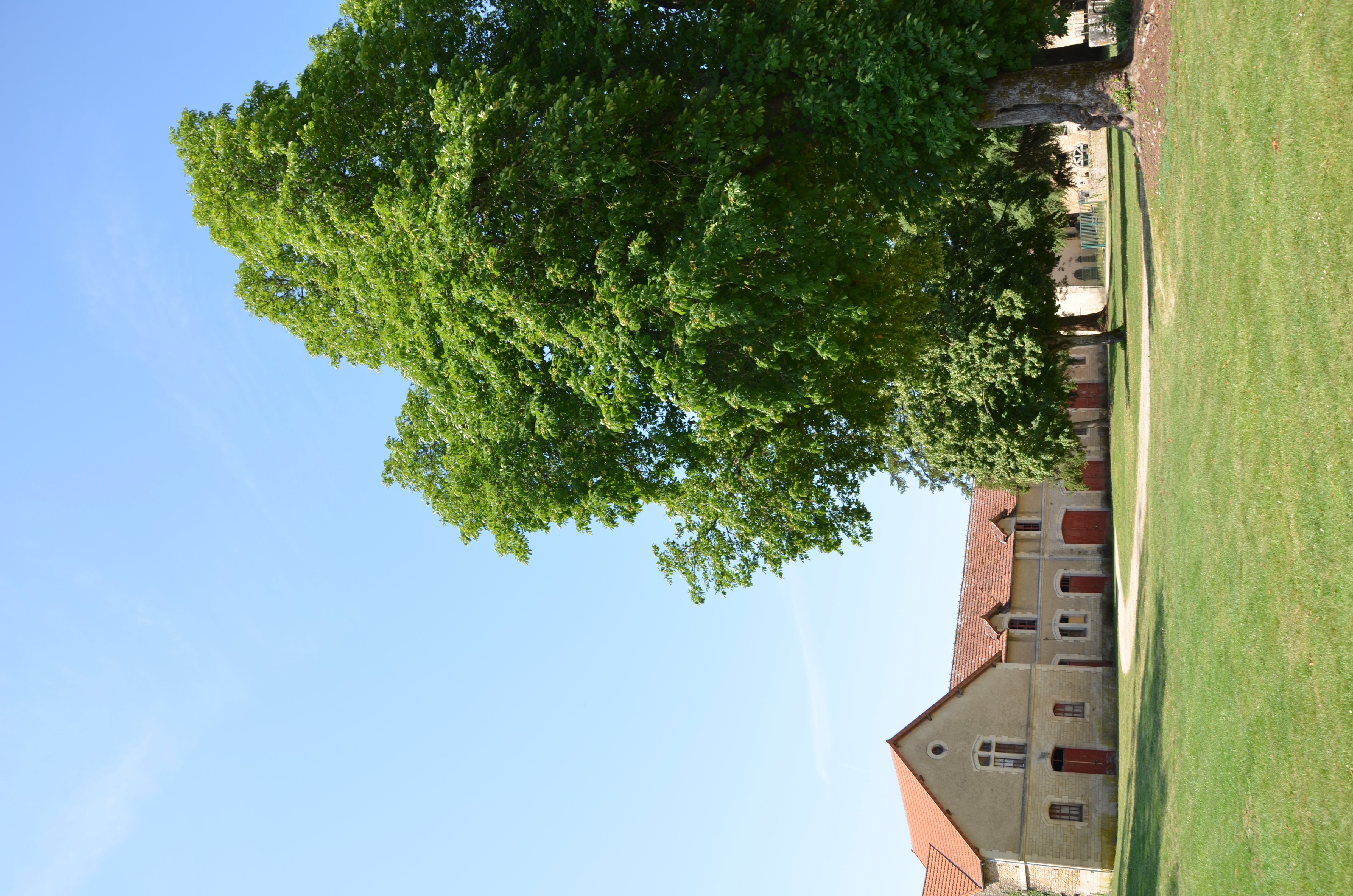 Virouneries en Poitou